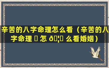 辛苦的八字命理怎么看（辛苦的八字命理 ☘ 怎 🦆 么看婚姻）